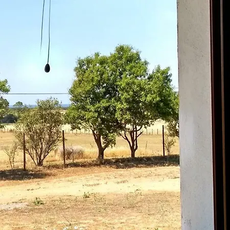 Il Chiosco Giallo * Capalbio