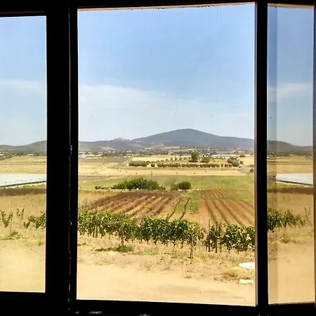 Il Chiosco Giallo Capalbio